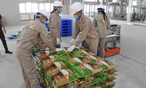 Gạo Việt Nam lập kỷ lục giá mới