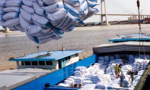 Cả nước có hơn 200 doanh nghiệp xuất khẩu gạo