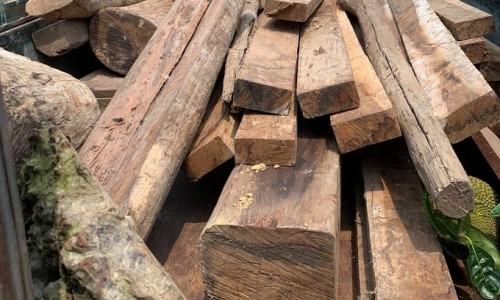 Nghệ An: Bắt vụ vận chuyển gỗ không rõ nguồn gốc xuất xứ