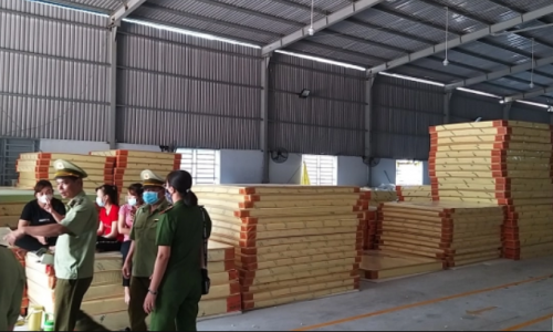 Công ty TNHH Vườn Xanh Bình Dương sản xuất nệm giả
