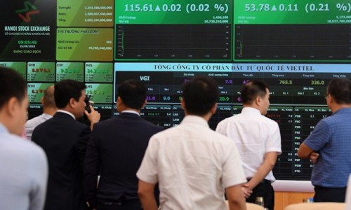 Cổ phiếu CEO bị cảnh báo