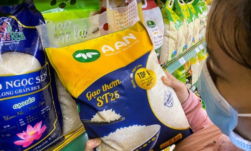 Từ câu chuyện gạo ST25 bị bảo hộ tại nước ngoài: Các chuyên gia nói gì?