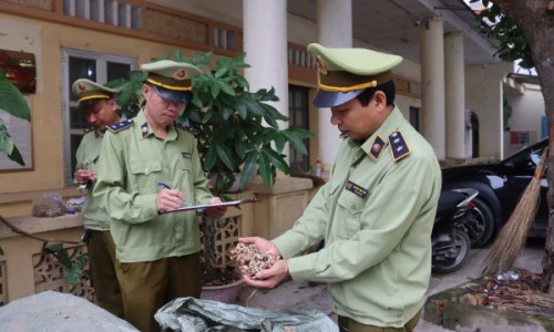 Lạng Sơn: Thu giữ gần 1 tấn nguyên liệu thuốc Bắc nhập lậu