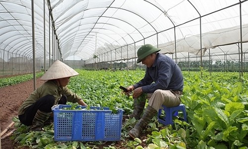 Hà Nội: Thêm 4 địa danh được sử dụng bảo hộ nhãn hiệu tập thể