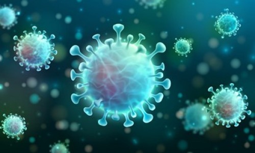 Phát hiện loại virus corona mới có thể lây từ chó sang người