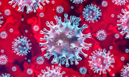 Việt Nam phát hiện đột biến gene virus SARS-CoV-2