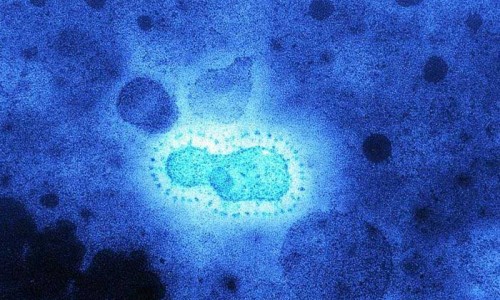 20.000 năm trước virus corona đã tấn công Đông Á và để lại nhiều dấu ấn trong gen người