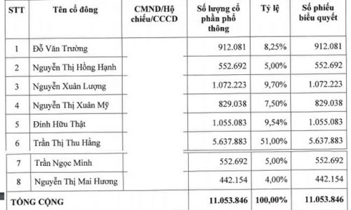 Công ty chứng khoán 'sang tên đổi chủ' có đổi vận?