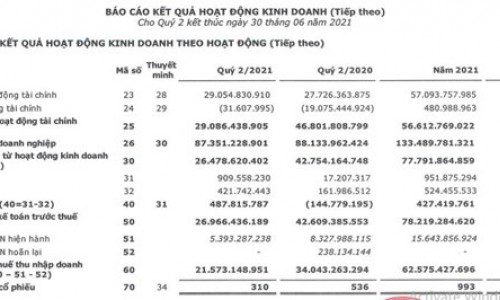 Bảo hiểm Bảo Long (BLI) báo lãi quý 2 giảm 37%, dòng tiền hoạt động kinh doanh bị âm