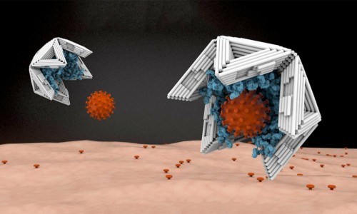Đức phát triển loại bẫy nano có khả năng vô hiệu hóa virus truyền nhiễm