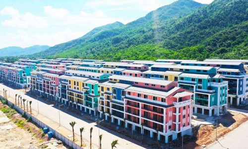 CEO Group bị phạt và truy thu thuế 1,42 tỷ đồng