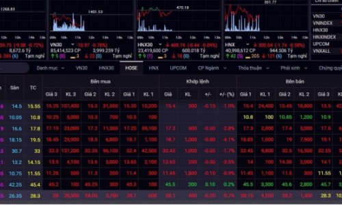 Giao dịch mở đầu tuần mới yếu ớt, VN-Index bay gần 10 điểm