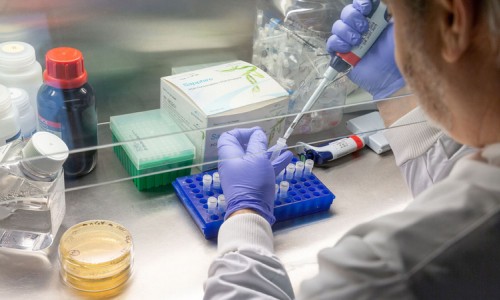 Công ty Mỹ phát triển vaccine COVID-19 gốc thực vật không cần bảo quản lạnh