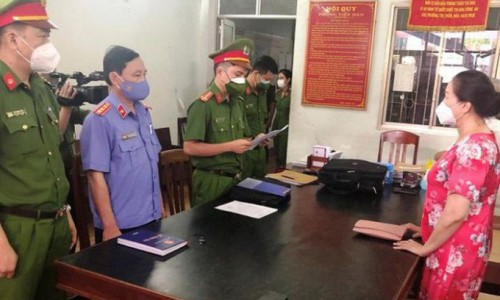 Phú Yên: Khởi tố nữ doanh nhân trong vụ bán sỉ 262 lô đất về tội "trốn thuế