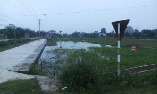 Đấu giá đất ở xã Đồng Thành, Yên Thành, Nghệ An: Nhiều lô đất giá đấu trúng sát nút giá tối thiểu
