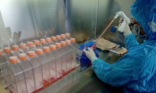 Việt Nam phát triển thành công vaccine ngăn ngừa 4 loại bệnh dịch trên gia cầm