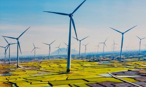 Bùng nổ điện gió, điện mặt trời, Việt Nam top đầu Đông Nam Á