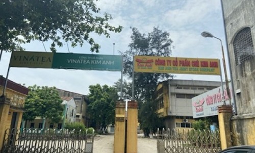Tổng công ty Chè Việt Nam bị tố vi phạm quyền sở hữu trí tuệ chè Kim Anh