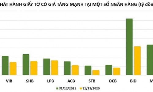 Nhà băng nào phát hành giấy tờ có giá