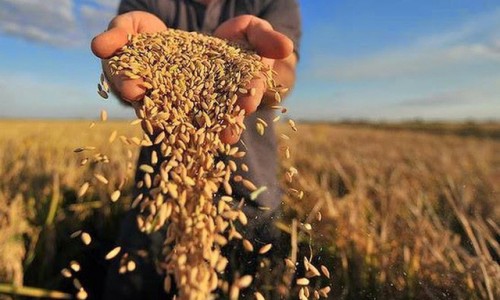 Xung đột Nga-Ukraine: Đe dọa đà phục hồi của nền kinh tế thế giới