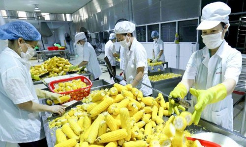 Xuất khẩu nông sản sang Nga phải tạm dừng