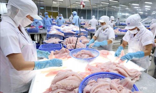 Thêm một doanh nghiệp cá tra không bị áp thuế bán phá giá sang Mỹ
