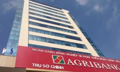 Ngân hàng Agribank cho chủ đầu tư dự án Rose Town vay không tài sản thế chấp?