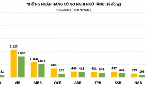 Nợ nghi ngờ mất vốn tại ngân hàng nào tăng nhanh nhất?