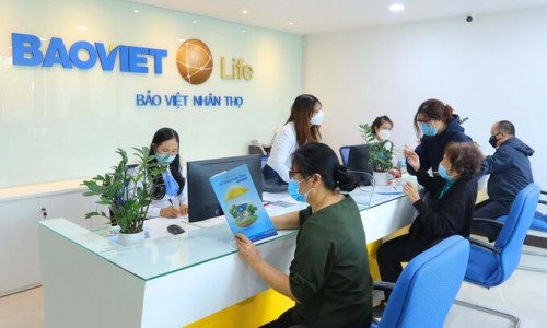 Loạt cổ phiếu bảo hiểm lao dốc sau bão Yagi