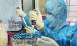 Chủng virus gây bùng phát Covid-19 ở TP.HCM mới xuất hiện lần đầu ở Đông Nam Á