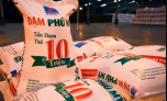 Cổ phiếu DPM tăng liên tục bất chấp giá dầu tăng
