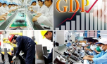 Từ 1/3, TP.HCM tiến hành tổng điều tra kinh tế