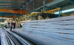 Tăng trần 7 phiên, cổ phiếu TLH tăng hơn 39% trong tuần