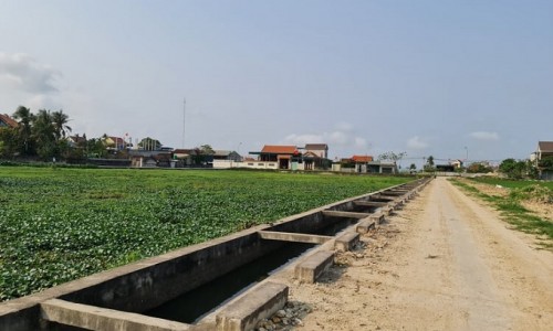 Nghệ An: Vì sao huyện Quỳnh Lưu ra văn bản dừng ngay việc tổ chức đấu giá 23 lô đất?