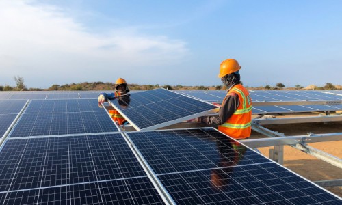 Giá cổ phiếu SCI rơi mạnh sau tin kết quả kinh doanh bùng nổ
