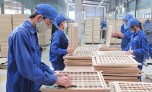 Cổ phiếu TTF tăng mạnh dù bị nghi ngờ khả năng duy trì hoạt động