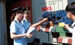 Đề xuất kiểm tra ngẫu nhiên không quá 5% lô hàng nhập khẩu