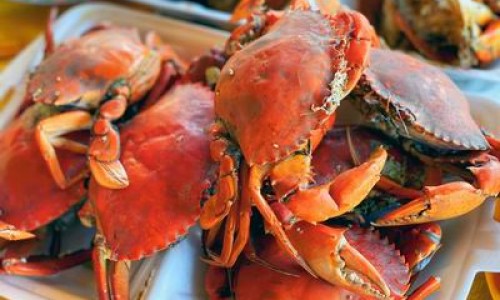 Bảo hộ chỉ dẫn địa lý cho 'Cua biển Bến Tre'