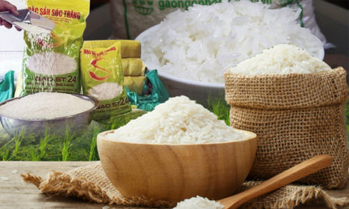 Thương vụ Việt Nam tại Mỹ vào cuộc vụ gạo ST25 bị đăng ký thương hiệu