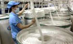Ấn Độ không áp thuế chống bán phá giá đối với xơ sợi staple nhân tạo Việt Nam