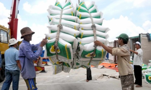 Các chuyên gia thương mại dự báo Việt Nam vẫn đứng thứ 2 thế giới về xuất khẩu gạo trong quý II/2021.