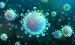 Phát hiện loại virus corona mới có thể lây từ chó sang người