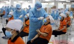 Trưa 31/5: Việt Nam có thêm 68 ca mắc COVID-19 trong cộng đồng, Bắc Giang có 48 ca