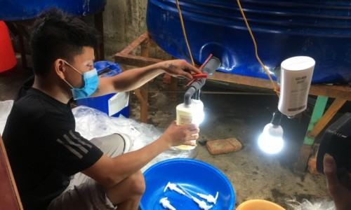 Thanh Hóa: Bắt quả tang 1 cơ sở sản xuất dầu gội đầu, sữa tắm, nước giặt giả mạo