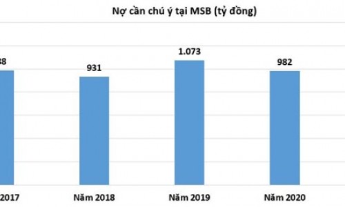 Tiềm ẩn rủi ro nợ xấu trong tương lai tại MSB?