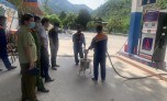 Nghệ An: Xử phạt hơn 100 triệu đồng đối với 4 doanh nghiệp kinh doanh xăng dầu