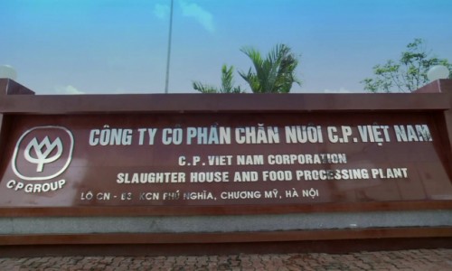 Công ty Cổ phần chăn nuôi C.P Việt Nam nợ 138 tỷ đồng tiền thuế