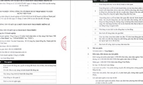 Vinaconex dồn dập huy động 4.700 tỷ đồng qua phát hành trái phiếu: Ông lớn 'đói vốn'?