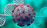 Đột biến virus SARS-CoV-2 gia tăng khi tồn tại trong cơ thể bệnh nhân HIV
