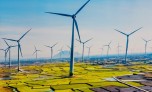 Bùng nổ điện gió, điện mặt trời, Việt Nam top đầu Đông Nam Á